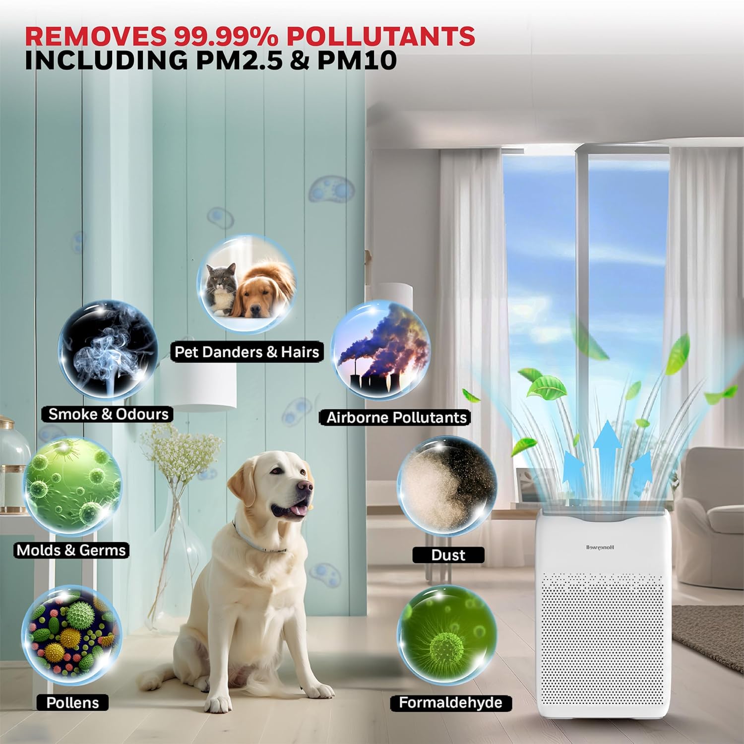 HEPA Air Purifier – Breathe Clean, Live Fresh - Zoodo